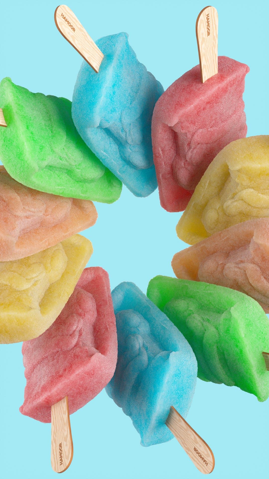 Hamoor popsicle — Toyio · Concept